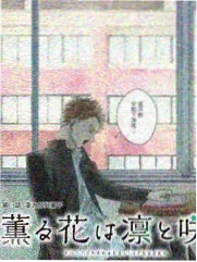 脱口秀大会 综艺在线观看